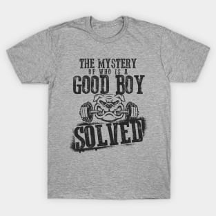 The Mystery of Who is a Good Boy Solved T-Shirt